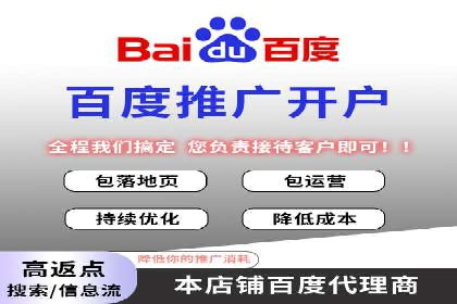 百度优化推广案例剖析：某电商平台的成功之路